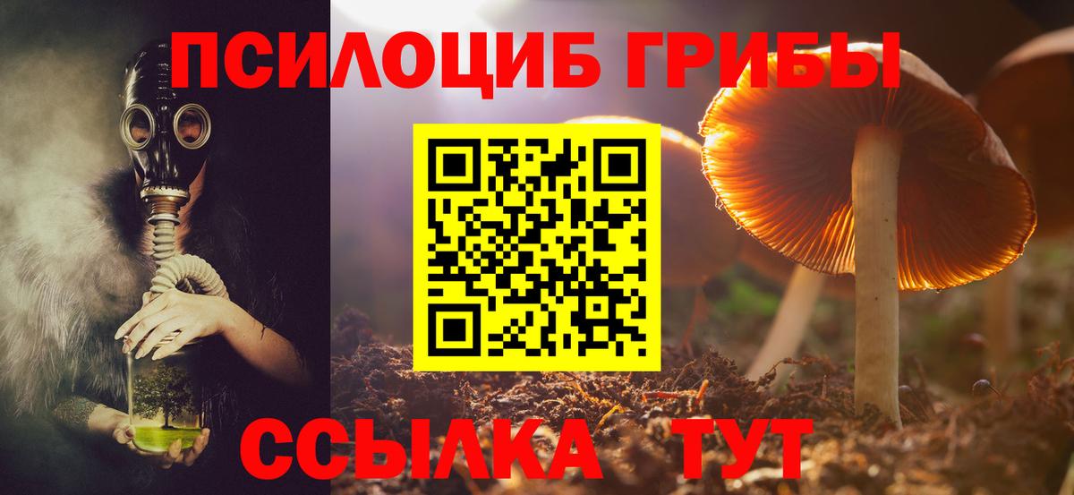 Псилоцибиновые грибы MAGIC MUSHROOMS  Псилоцибиновые грибы мицелий  Вход с VPN  Глазов 